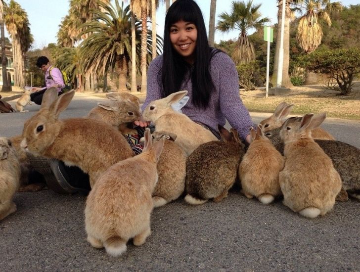 17 Amazing Things That Can Make You Leave Everything and Go to Japan